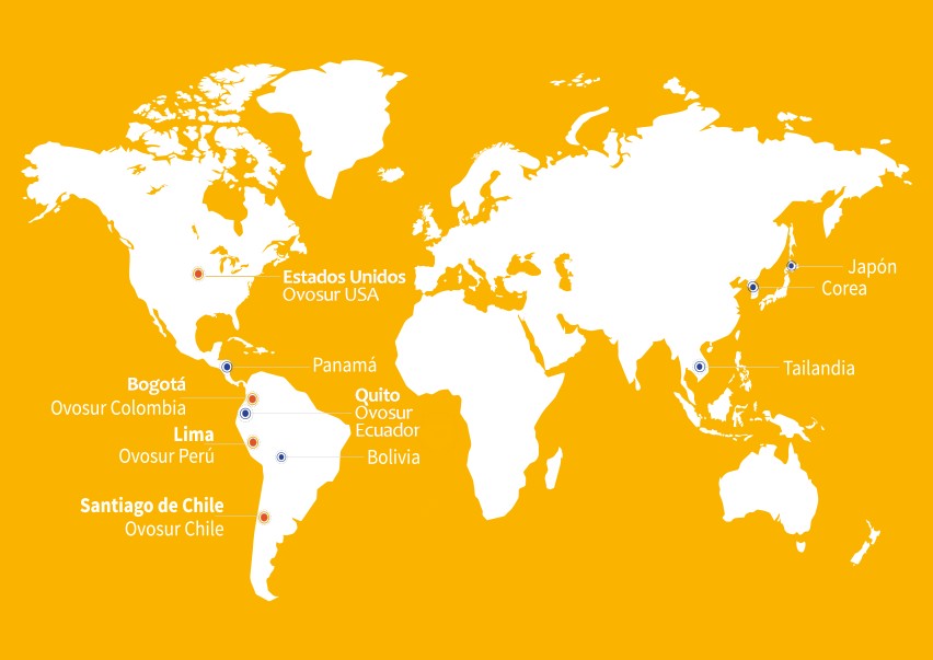 Oficinas Ovosur en el mundo - Expertos en Ovoproductos